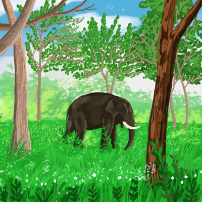 Elephant