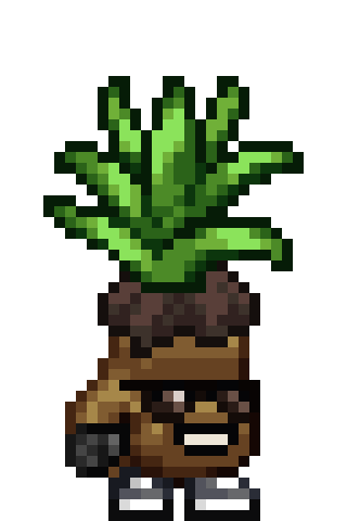 AlgoSprouts Gen 2 #154