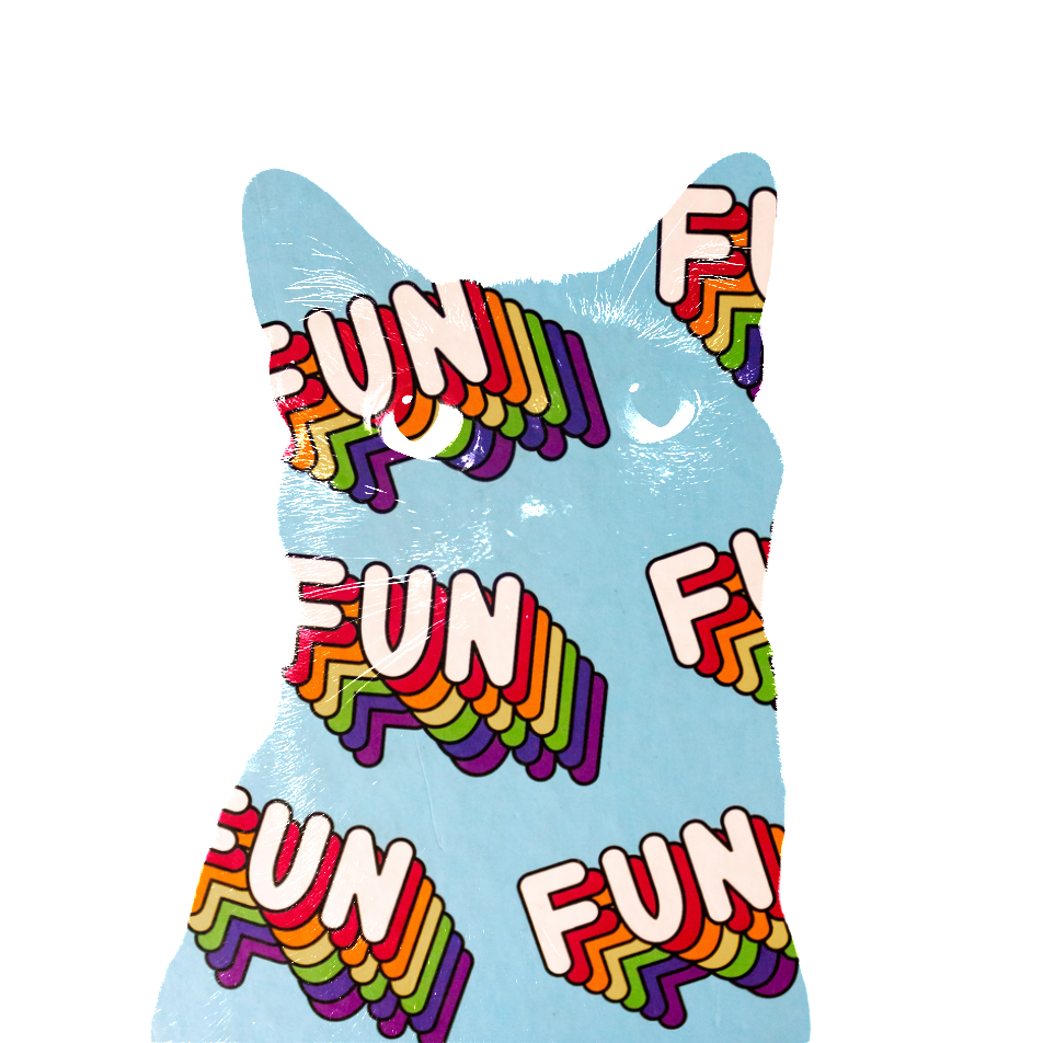 Fun Cat