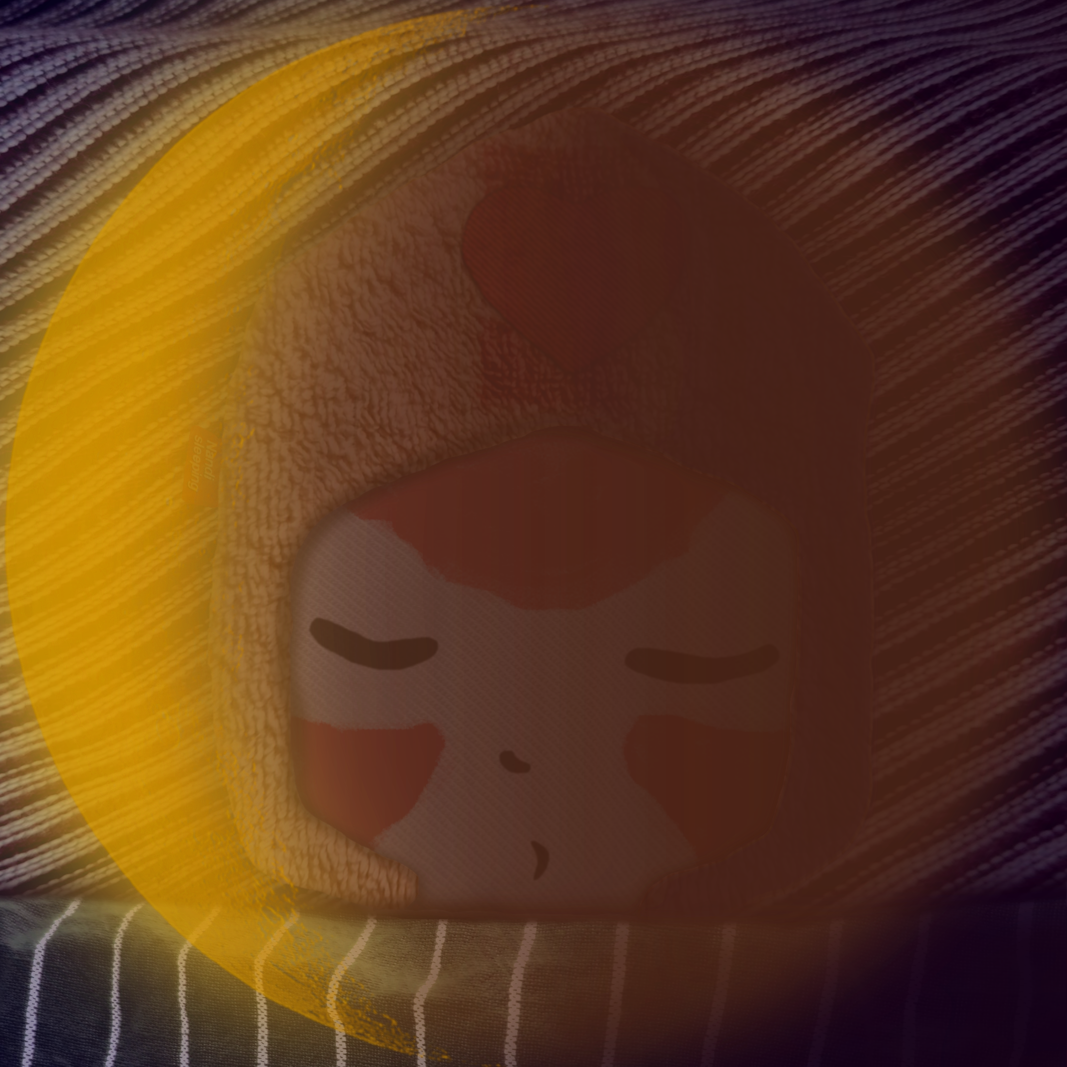 Nandi dreams #232