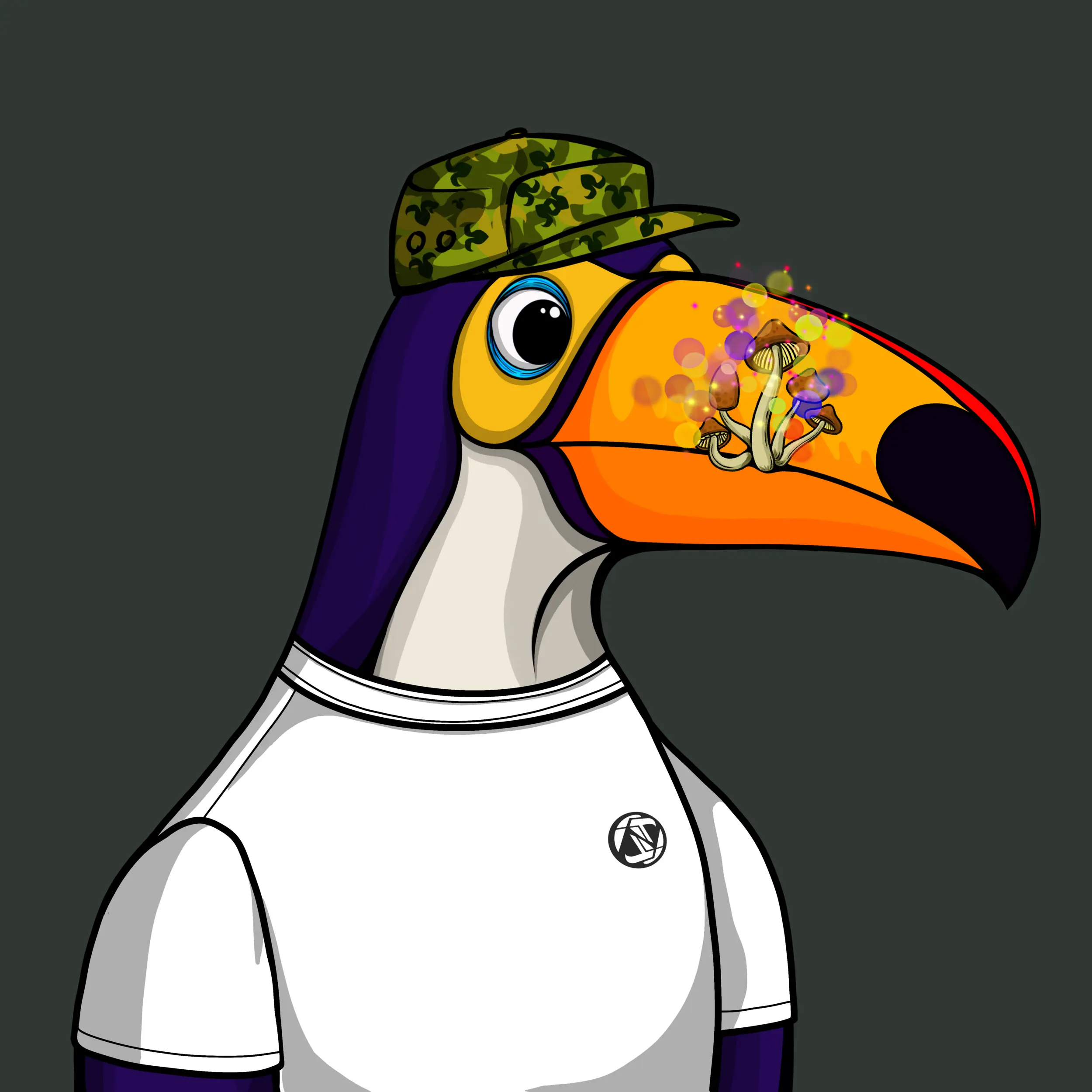 Tucan Tribe #1651