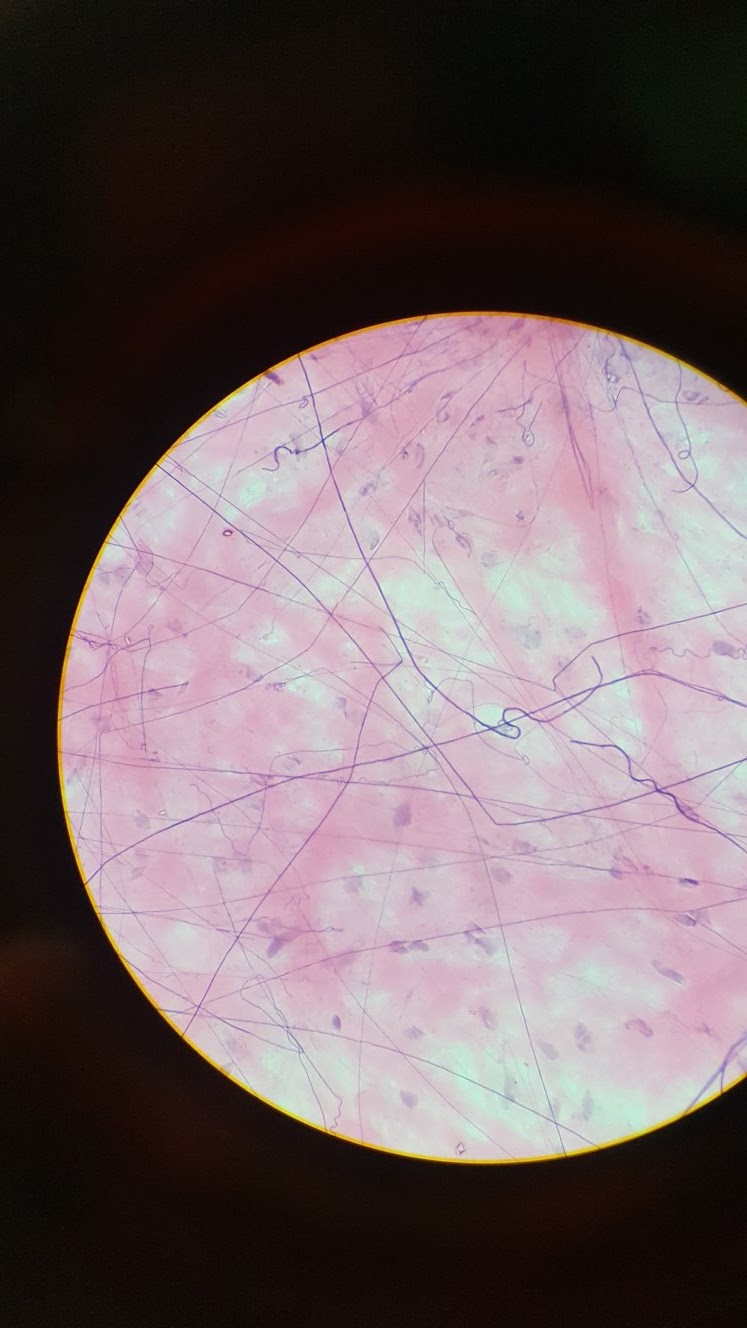 Cellular Crypto 9